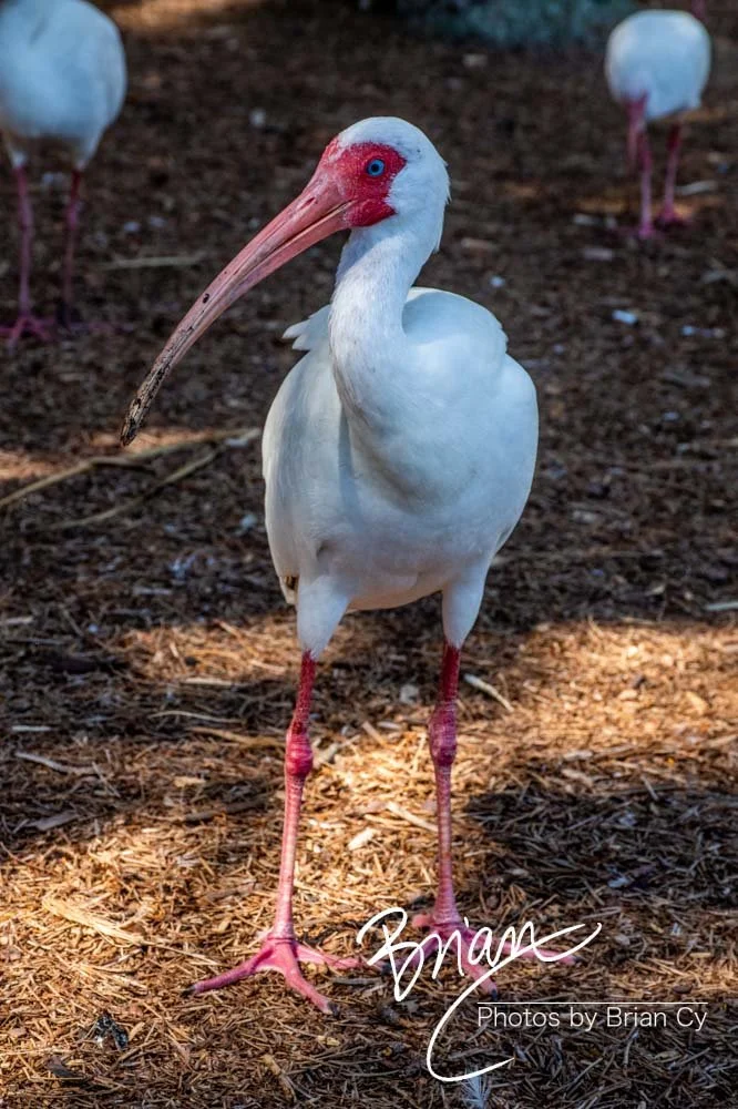 LoRes_WM_20190217_Orlando_Edit-5285.jpg