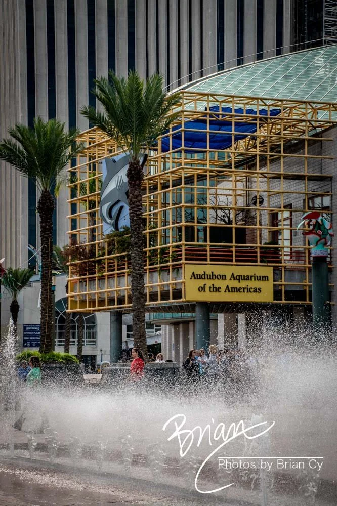 LoRes_WM_20191105_NewOrleans_Edit-7096.jpg