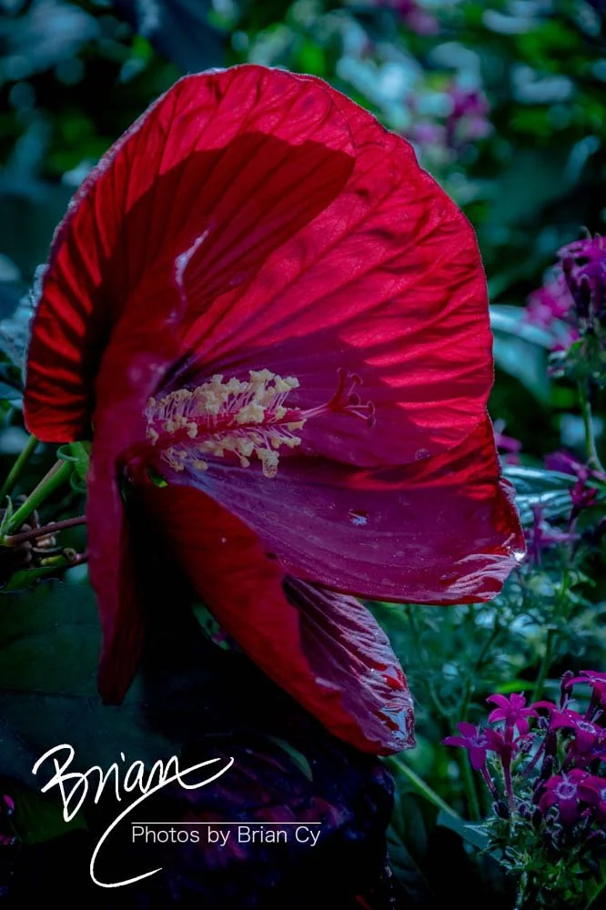 LoRes_WM_20191105_NewOrleans_Edit-6136.jpg