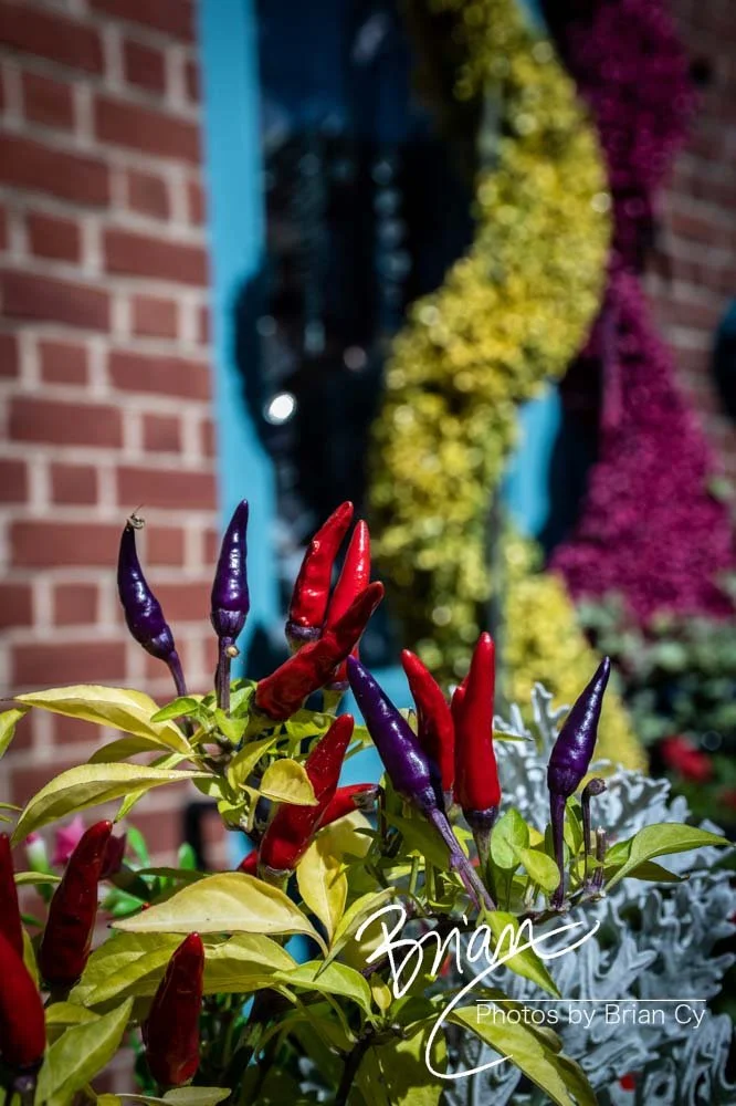 LoRes_WM_20220926_Baltimore_Edit-7628.jpg