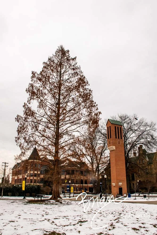 LoRes_WM_20250125_WilkesBarre_Edit-8437.jpg