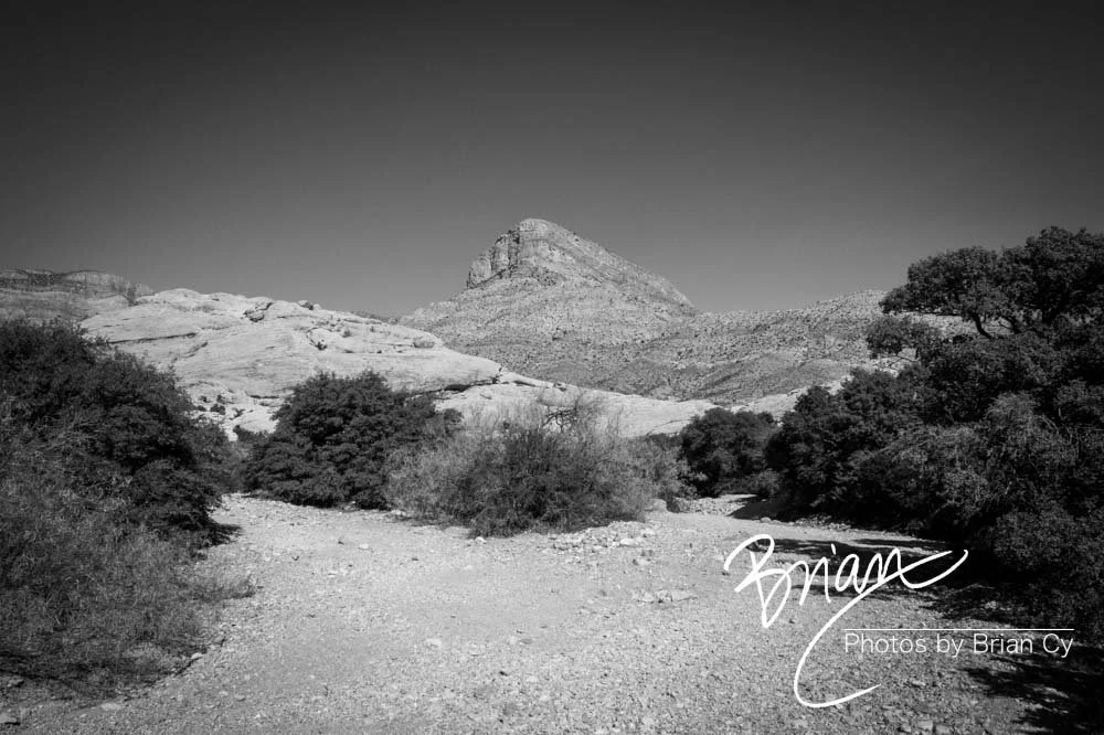LoRes_WM_20191113_RedRockCanyon_Edit-8913.jpg