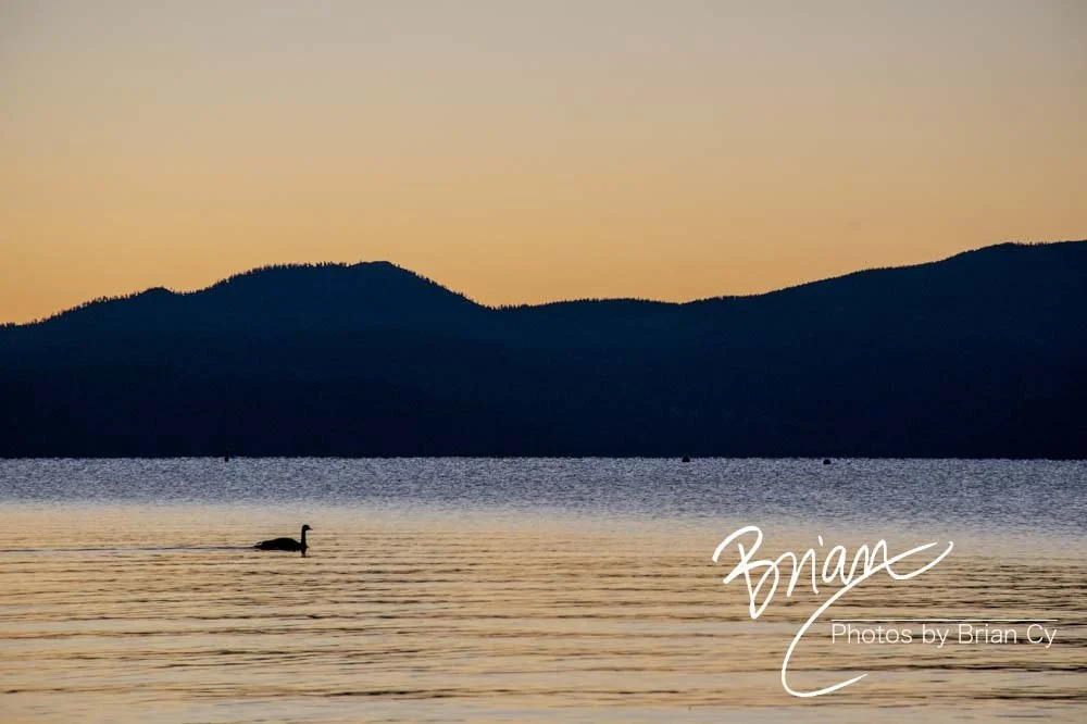 LoRes_WM_20201014_Tahoe_Edit-9342.jpg