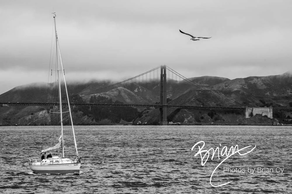 LoRes_WM_20200723_SanFrancisco_Edit-8237.jpg