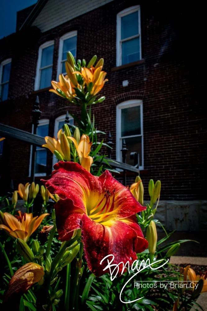 LoRes_WM_20240526_StLouis_Edit-9320.jpg