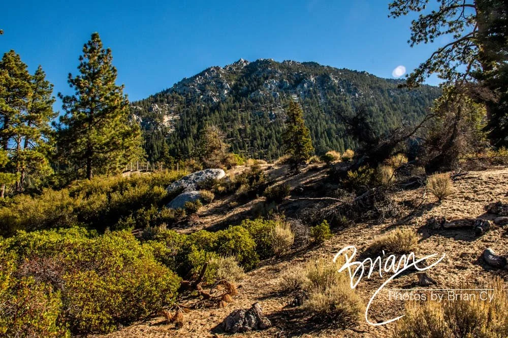 LoRes_WM_20201014_Tahoe_Edit-0855.jpg