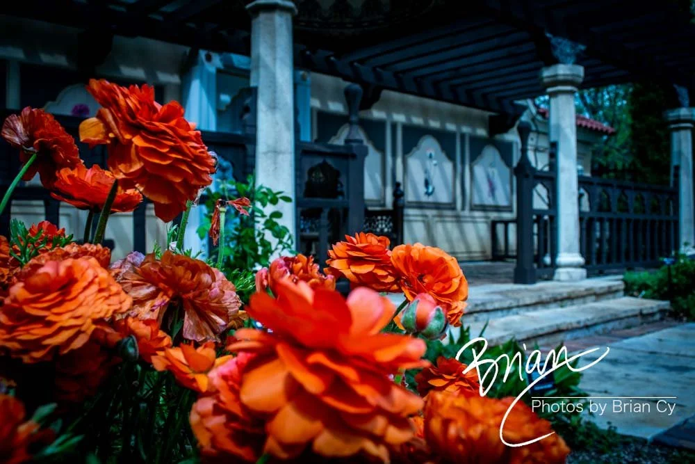 LoRes_WM_20180504_Missouri_Botanical_Edit-0209.jpg