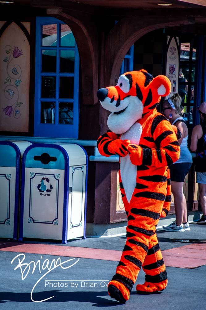 LoRes_WM_20230704_TheFam_Disney_Edit-6698.jpg