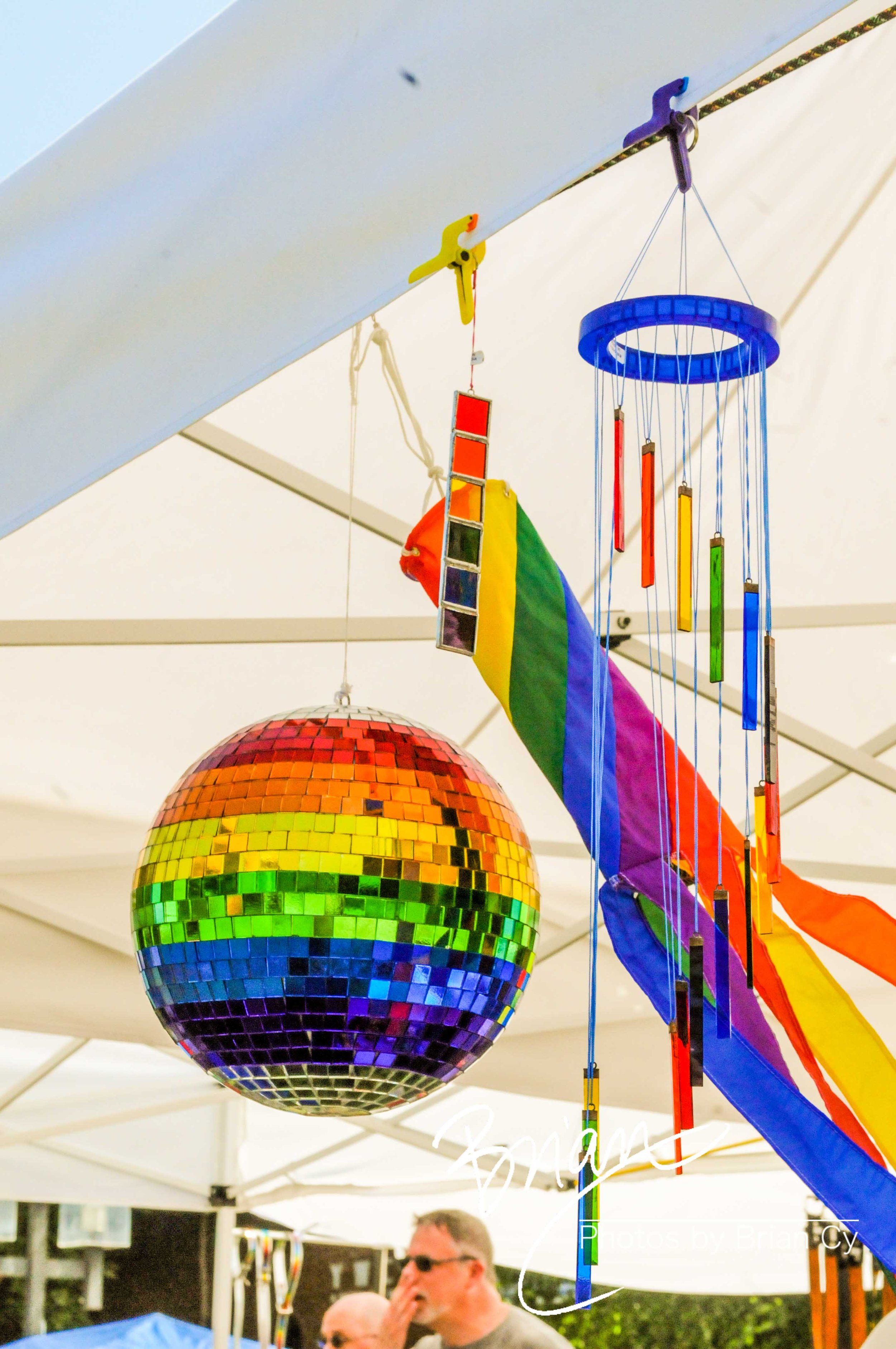 LoRes_WM_20100605_Triad_Pride_Edit-0549.jpg