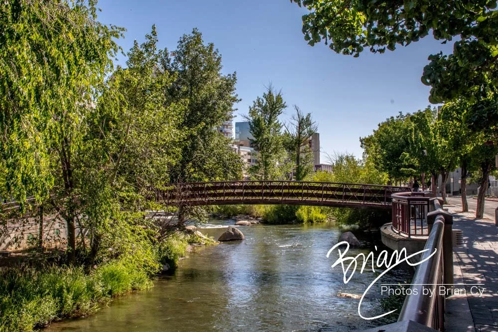 LoRes_WM_20200617_Reno_Edit-5238.jpg
