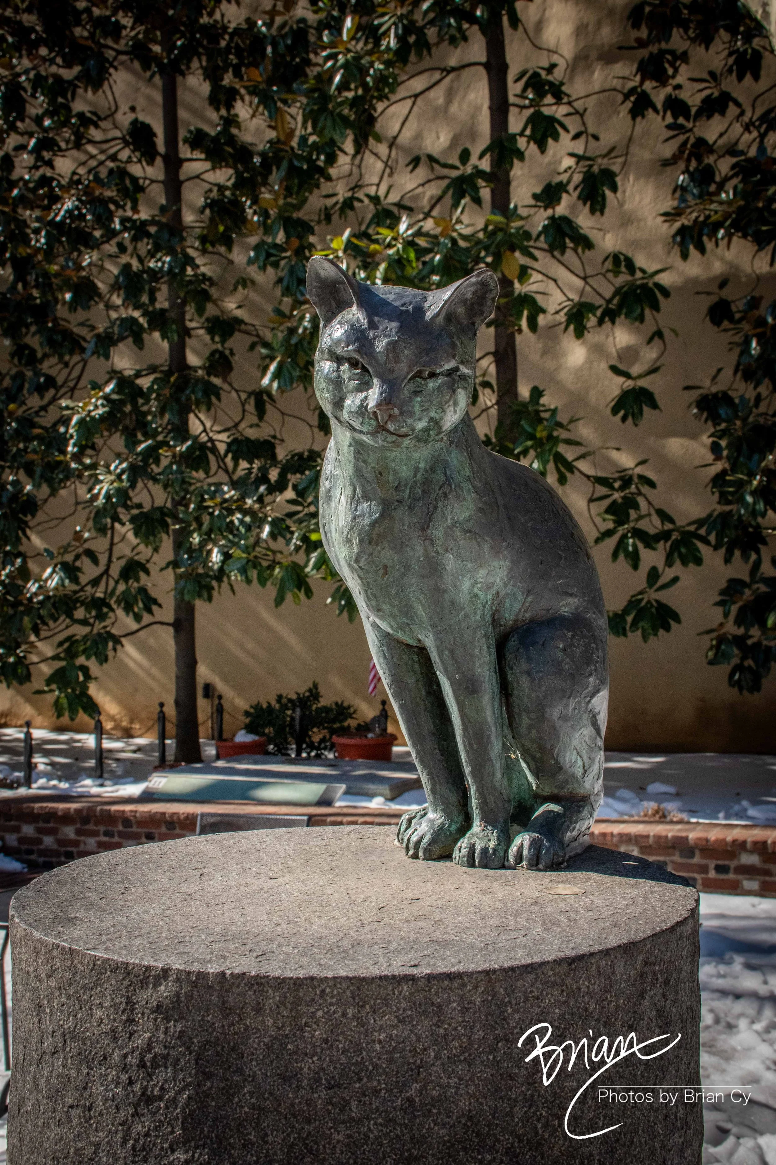 LoRes_WM_20260213_Philadelphia_Edit-8992.jpg