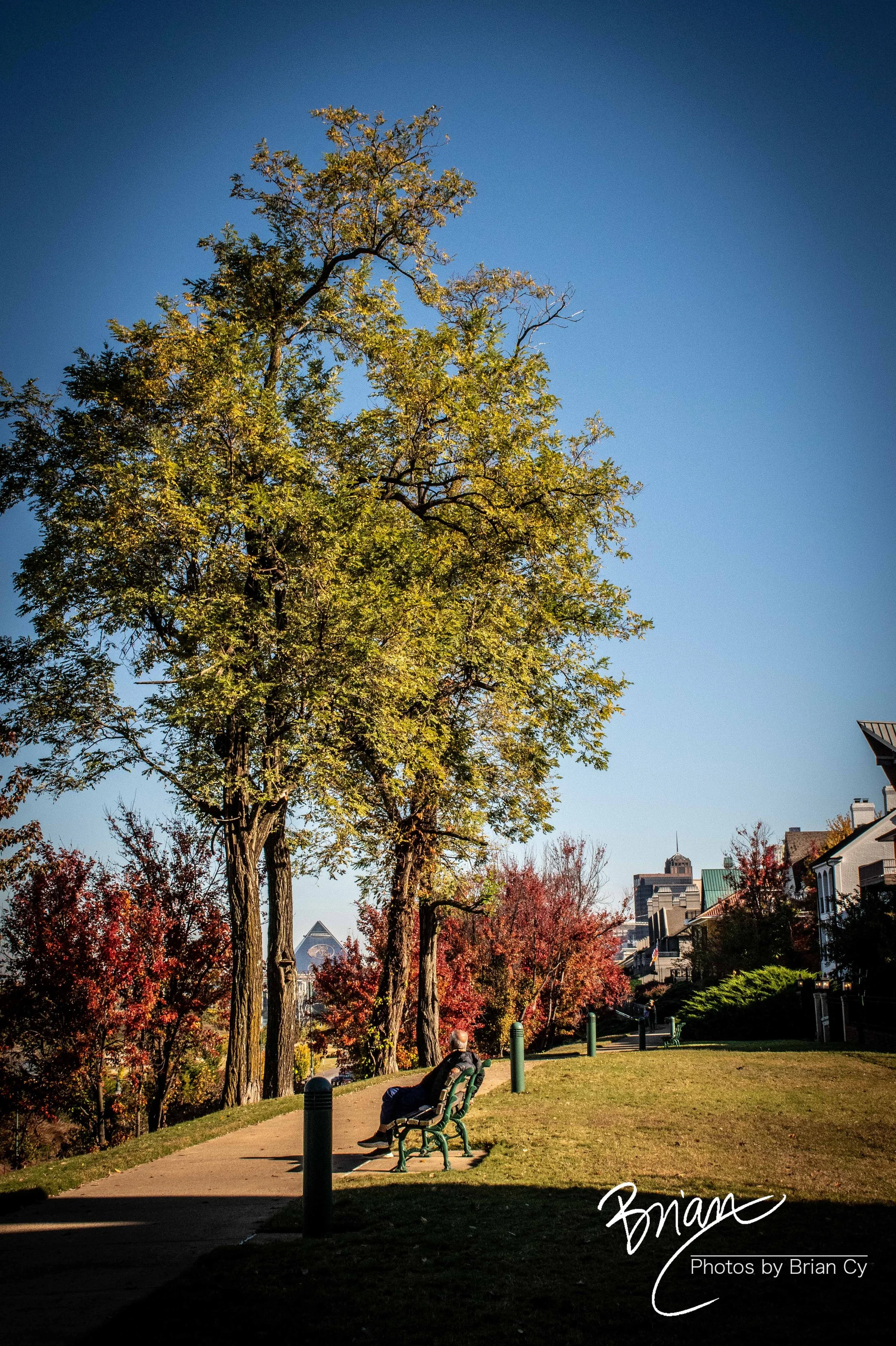 LoRes_20251108_Memphis_Edit-6823.jpg