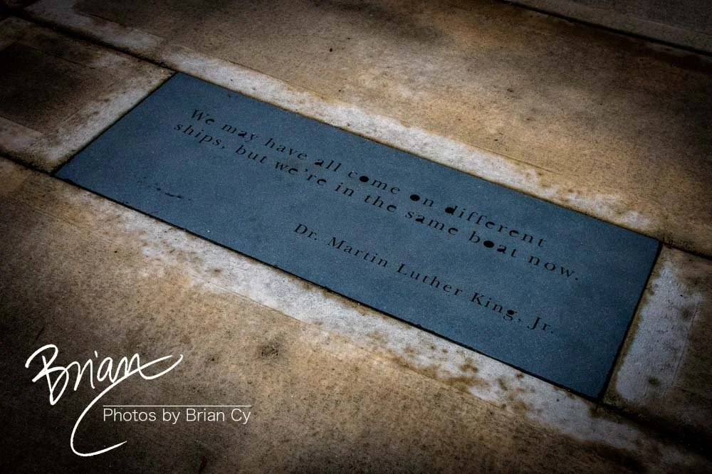 LoRes_WM_20190810_Montgomery_Edit-5601.jpg