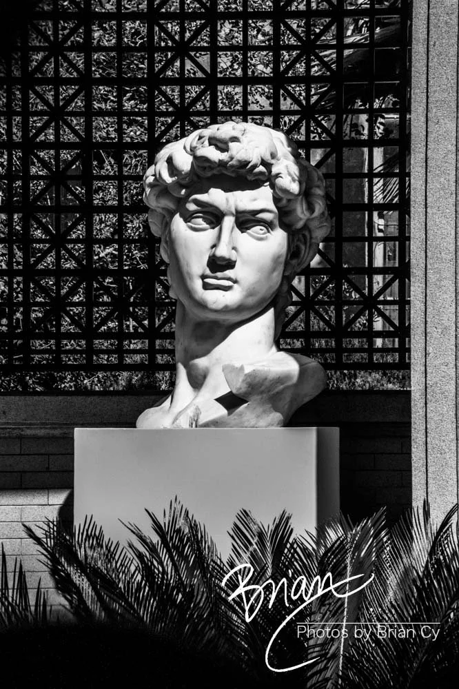 LoRes_WM_20191028_Savannah_Edit-2005.jpg