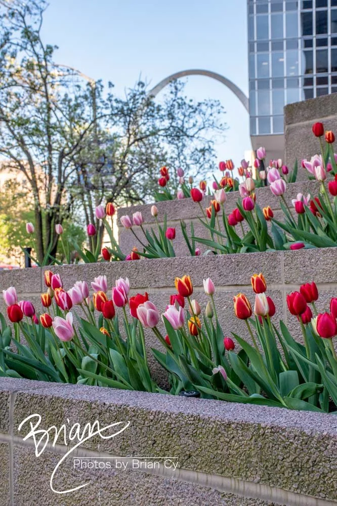 LoRes_WM_20190415_SaintLouis_Edit-0048.jpg