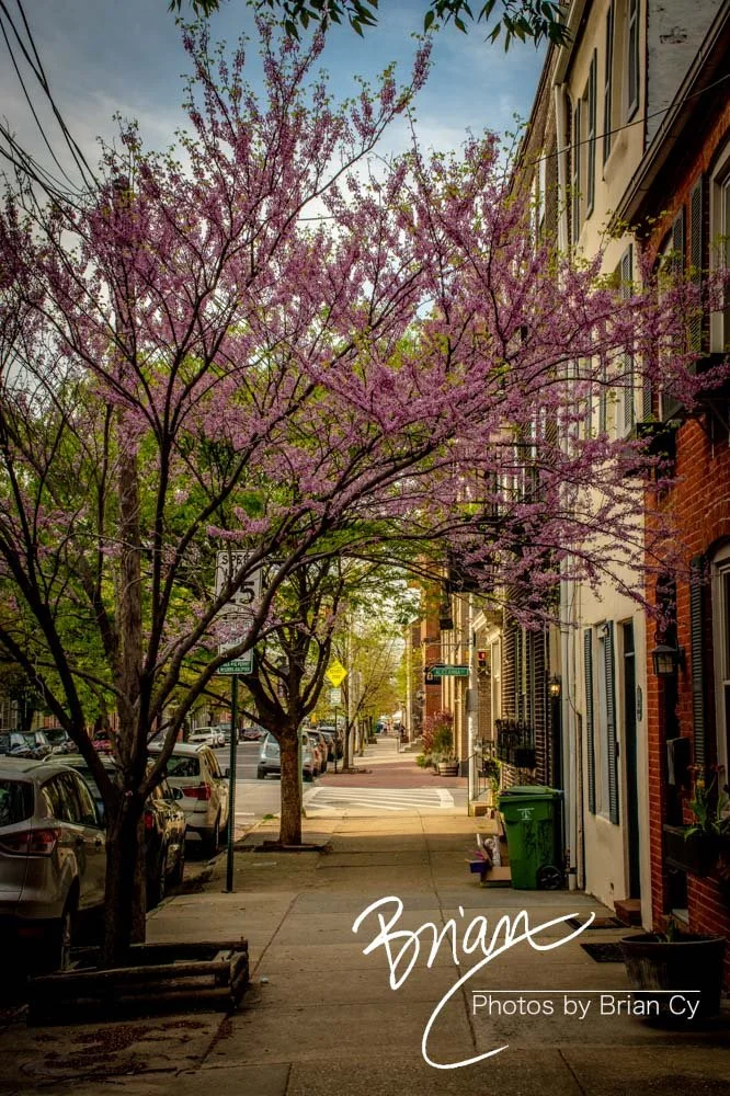 LoRes_WM_20220416_Baltimore_Edit-3594.jpg