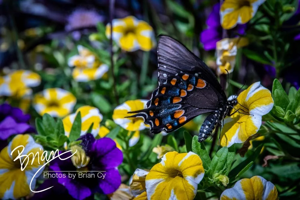 LoRes_WM_20240519_Alton_Edit-5857.jpg