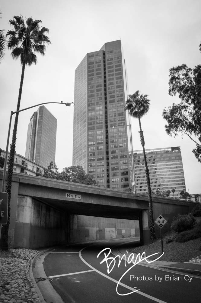 LoRes_WM_20190420_LosAngeles_Edit-2745.jpg