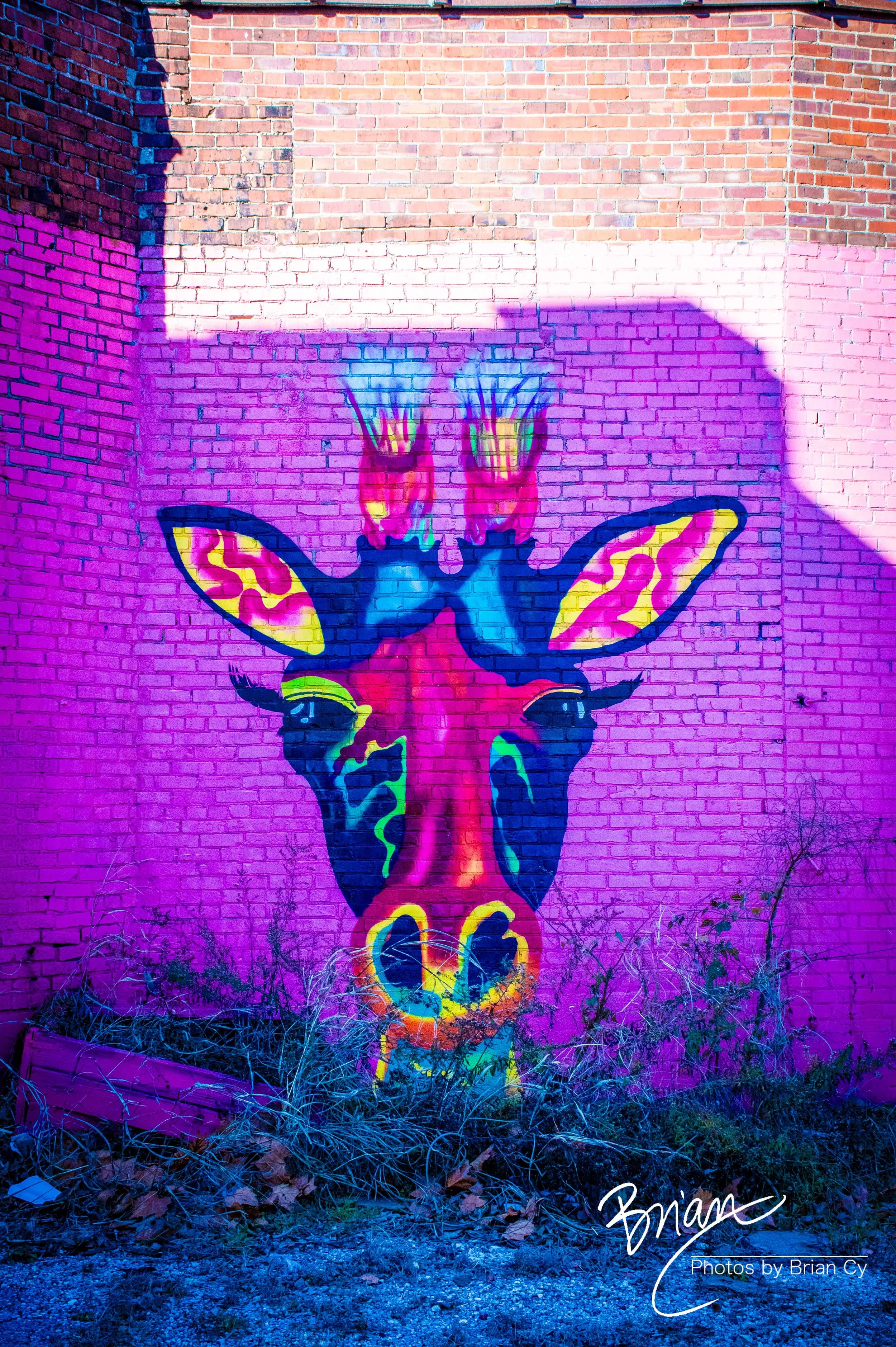 LoRes_WM_20251220_Memphis_Edit-7870.jpg
