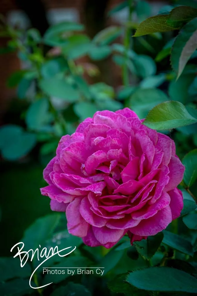 LoRes_WM_20210716_Annapolis_Edit-3205.jpg