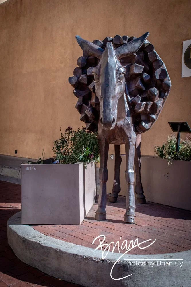 LoRes_WM_20191108_SantaFe_Edit-1123.jpg