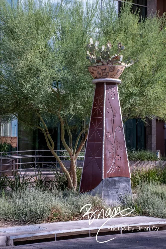 LoRes_WM_20191110_Tucson_Edit-4961.jpg
