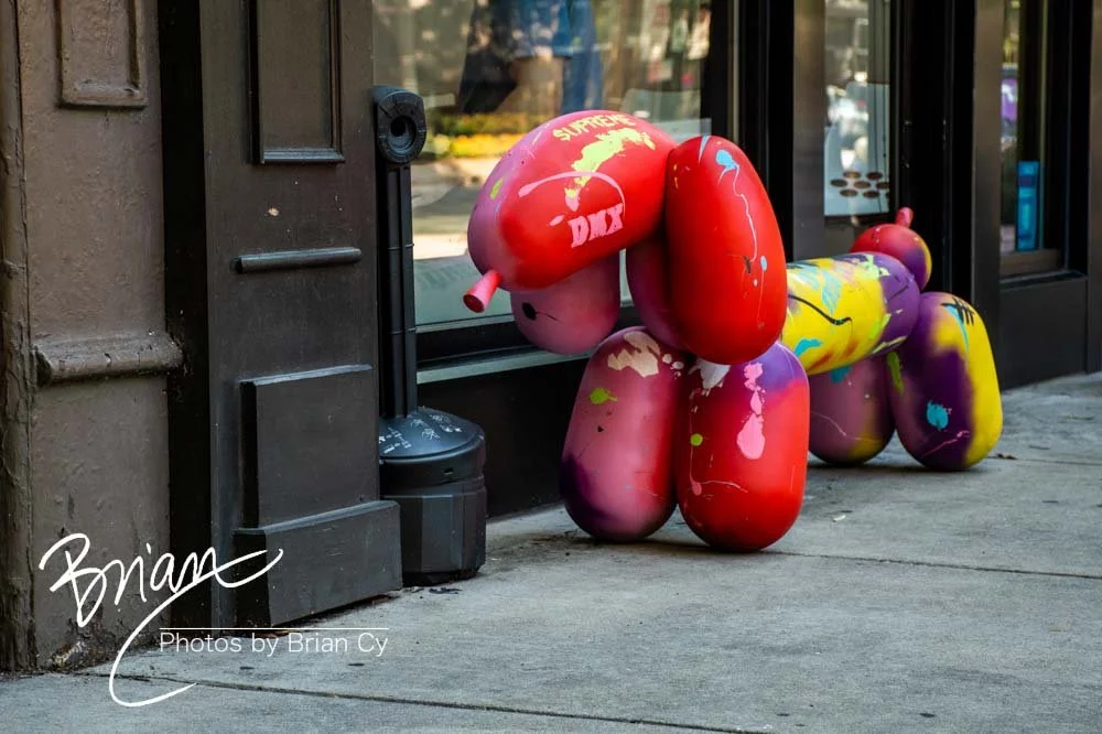 LoRes_WM_20210709_Richmond_Edit-2114.jpg
