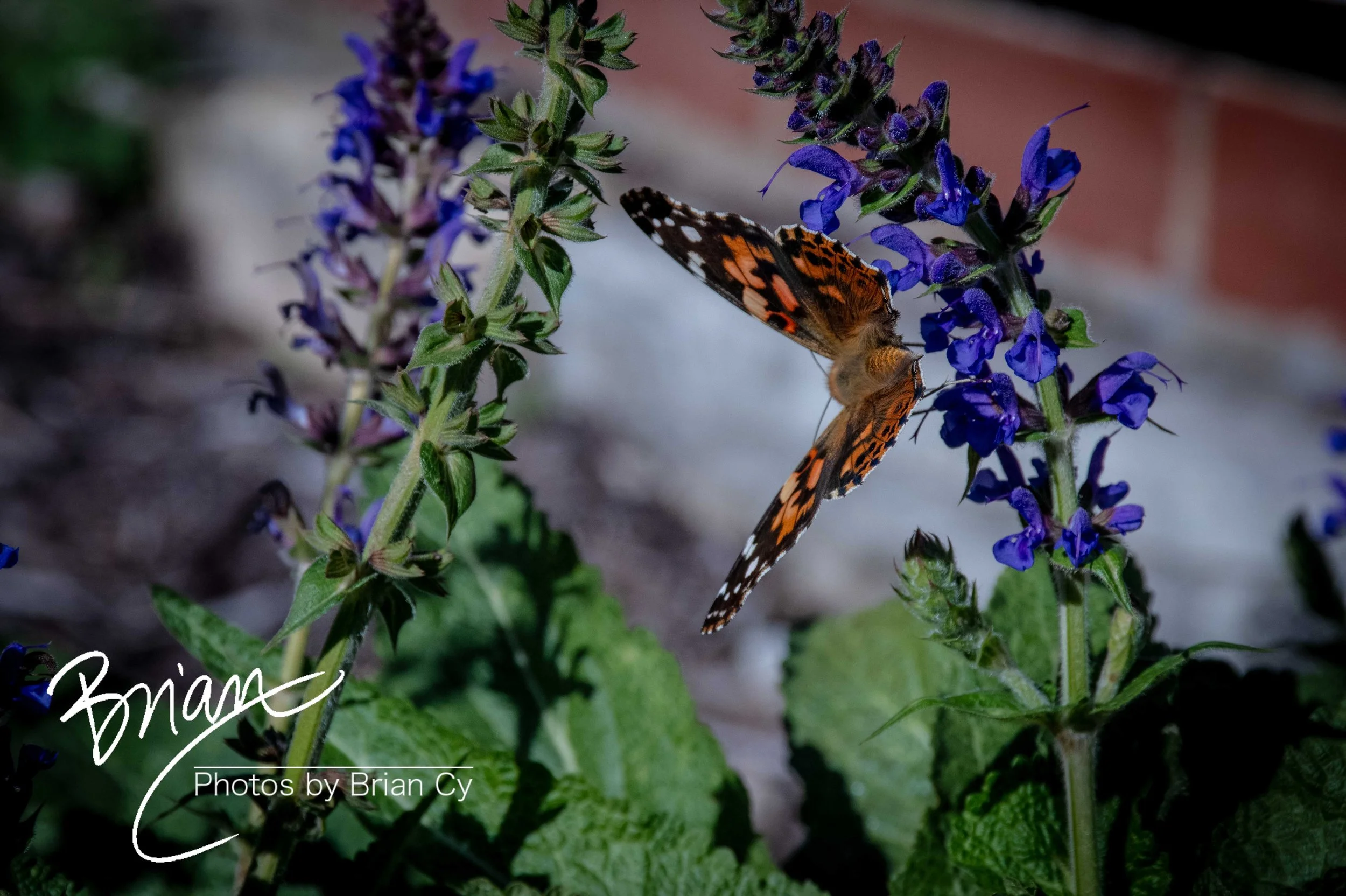 LoRes_WM_20231105_JeffersonCity_Edit-6367.jpg