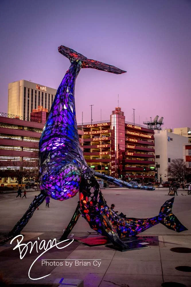 Reno, Nevada (February 2020)