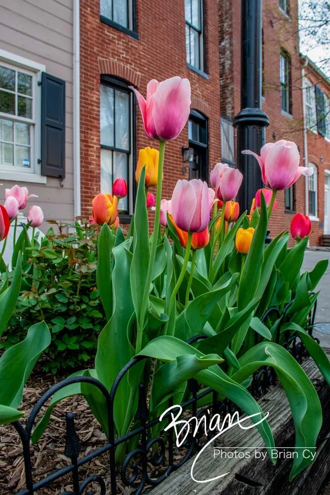 LoRes_WM_20220416_Baltimore_Edit-3664.jpg