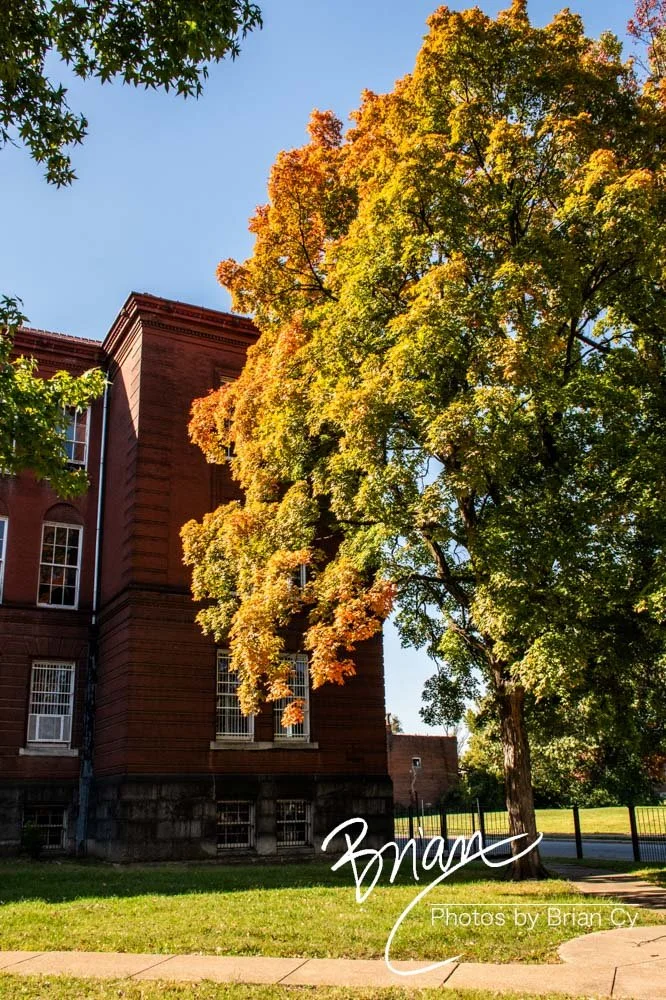 LoRes_WM_20241019_StLouis_Edit-2400.jpg