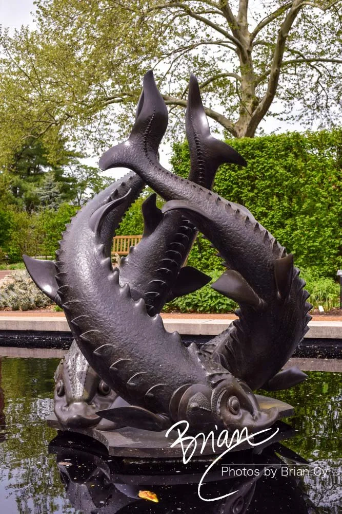 LoRes_WM_20180504_Missouri_Botanical_Edit-0041.jpg