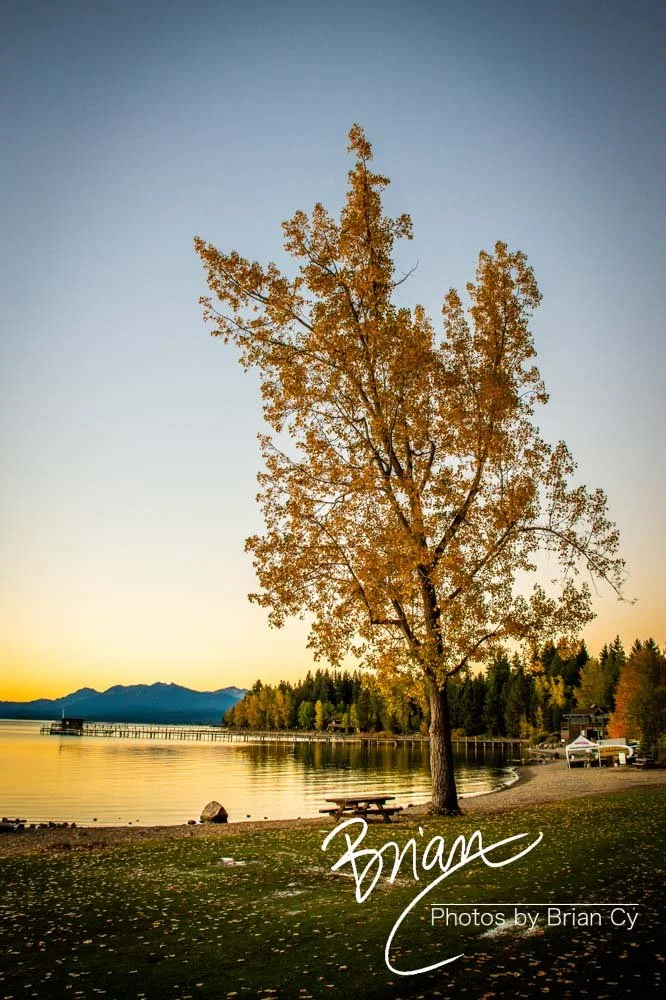 LoRes_WM_20201014_Tahoe_Edit-9514.jpg
