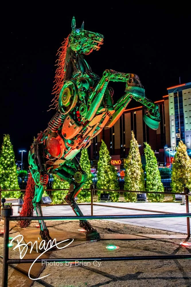 LoRes_WM_20200708_Reno_Edit-6832.jpg