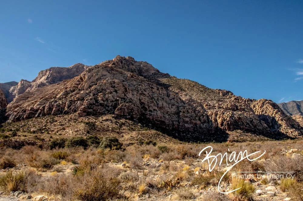 LoRes_WM_20191113_RedRockCanyon_Edit-9196.jpg