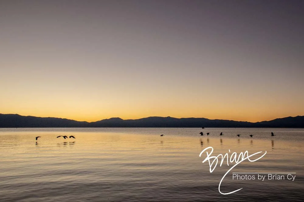 LoRes_WM_20201014_Tahoe_Edit-9256.jpg