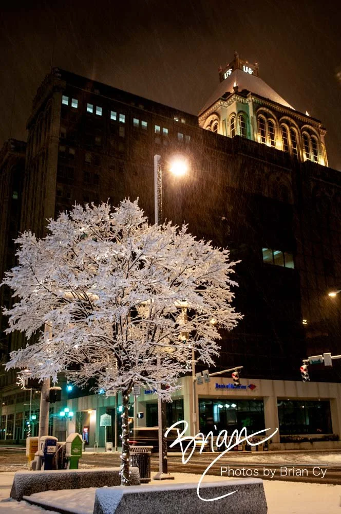 LoRes_WM_20101225_Greensboro_Edit-9329.jpg