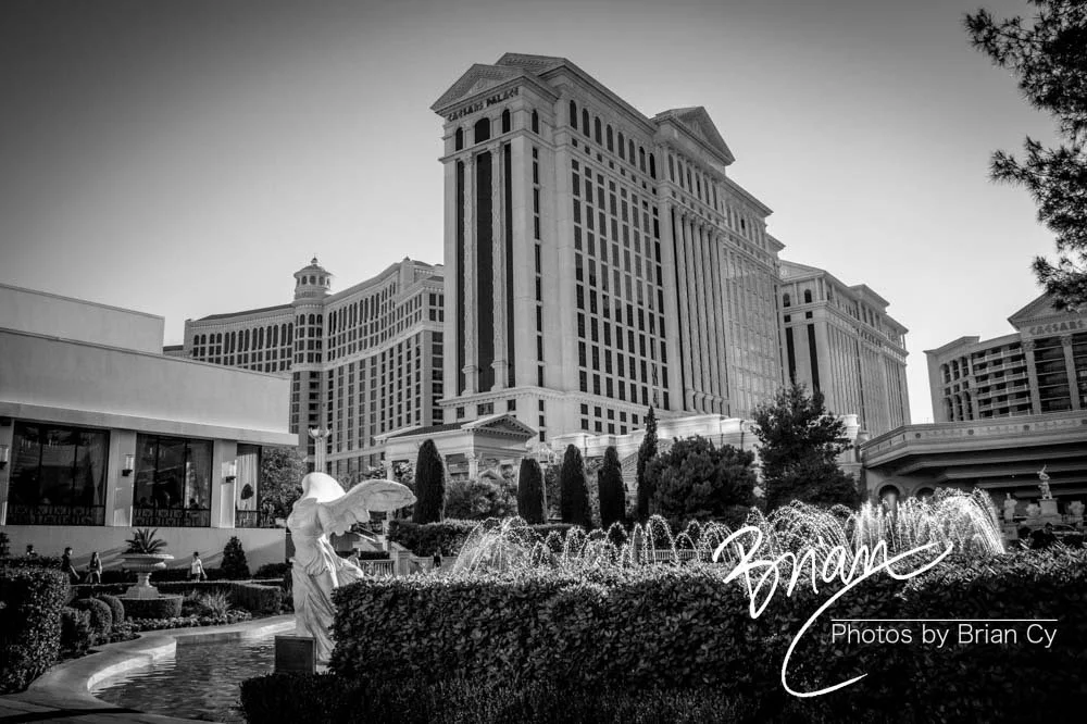 LoRes_WM_20190424_LasVegas_Edit-9315.jpg