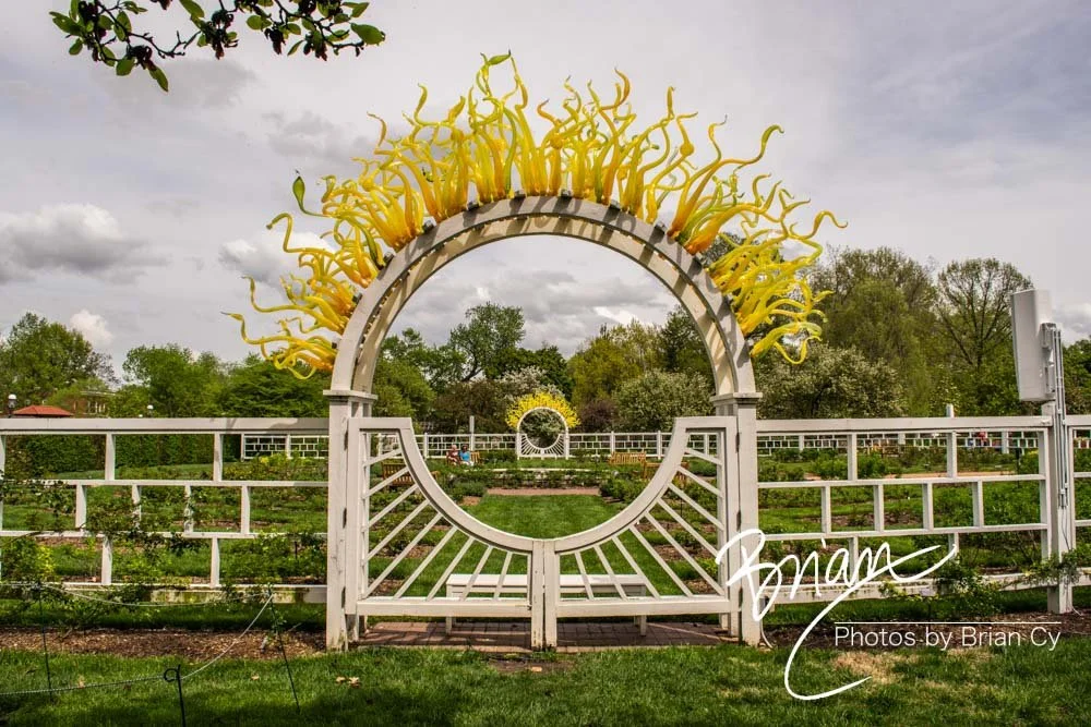 LoRes_WM_20180504_Missouri_Botanical_Edit-0184.jpg