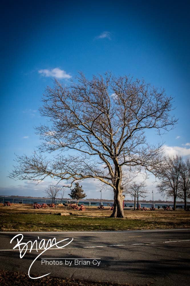 LoRes_WM_20221224_Brooklyn_Edit-8824.jpg