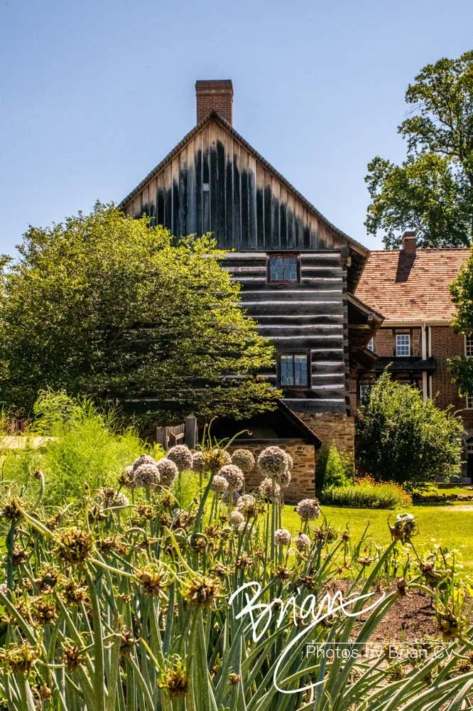 LoRes_WM_20190611_WinstonSalem_Edit-0604.jpg