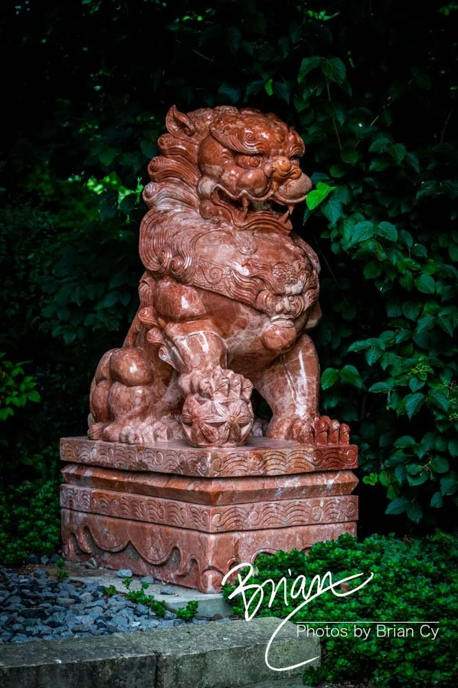 LoRes_WM_20180620_Memphis_Botanical_GardensA_Edit-0275.jpg