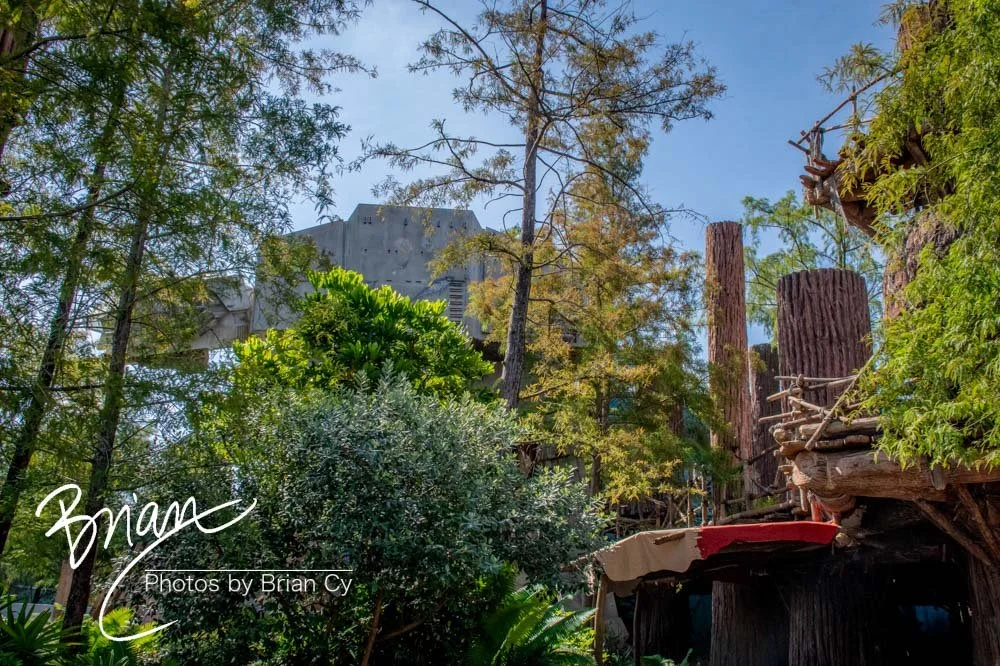LoRes_WM_20230702_TheFam_Disney_Edit-5193.jpg