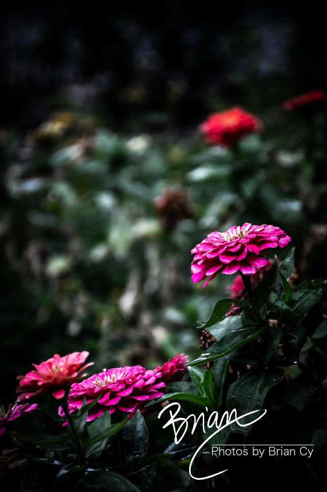 LoRes_WM_20191107_SanAntonio_Edit-9864.jpg