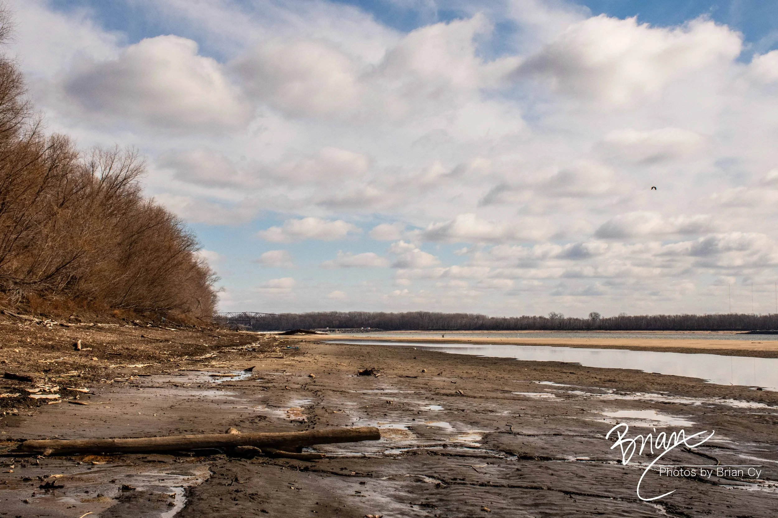 LoRes_WM_20250301_StLouis_Edit-9471.jpg