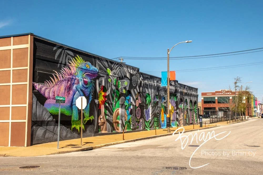 LoRes_WM_20240324_StLouis_Edit-3637.jpg