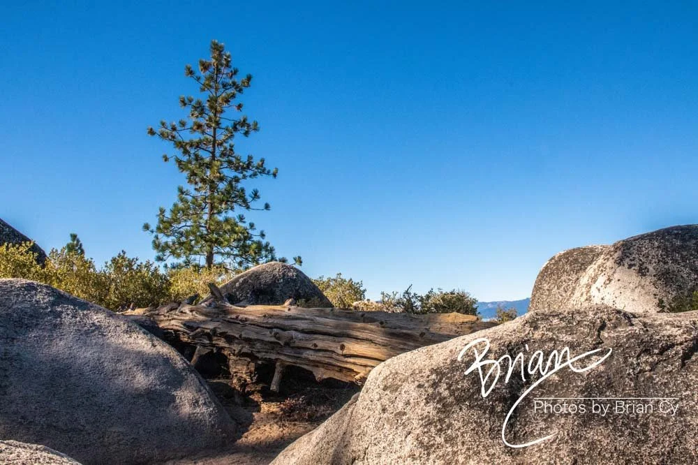 LoRes_WM_20201014_Tahoe_Edit-0858.jpg