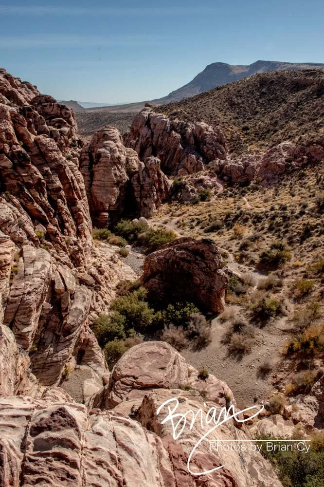 LoRes_WM_20191113_RedRockCanyon_Edit-8658.jpg