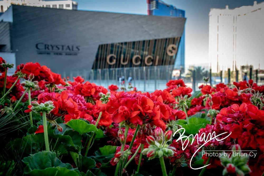 LoRes_WM_20190424_LasVegas_Edit-8686.jpg