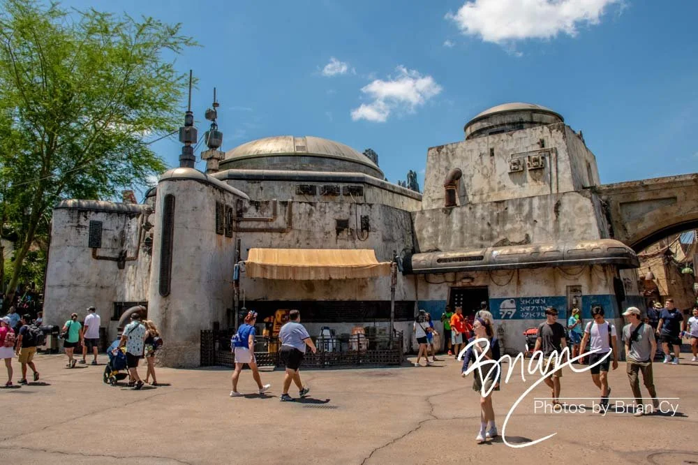 LoRes_WM_20230702_TheFam_Disney_Edit-5535.jpg